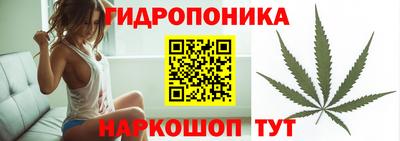 винт Краснодар