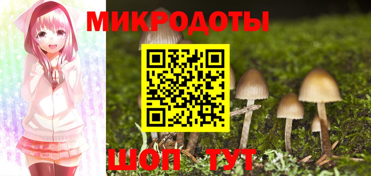 Псилоцибиновые грибы мухоморы Карачаевск