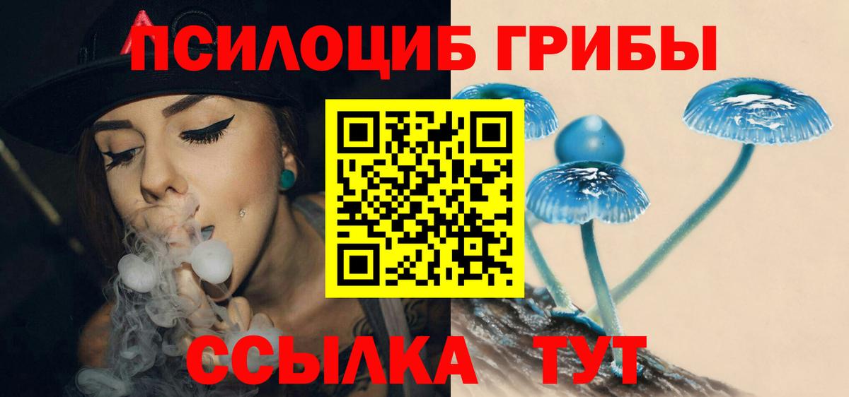 Псилоцибиновые грибы Cubensis  Вход с VPN  Карачаевск 